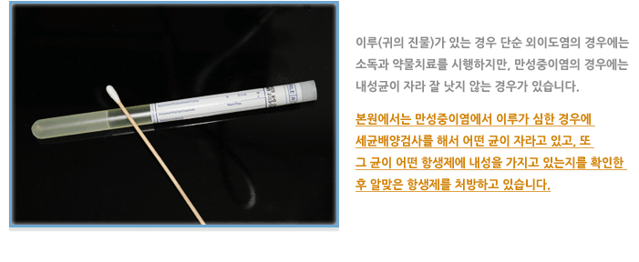 세균 배양 검사