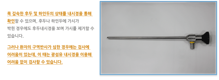 후두 내시경 검사