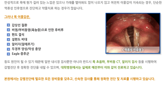 후두 이물감