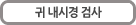 귀 내시경 검사
