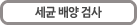 세균 배양 검사