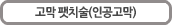 고막 팻치술(인공고막)