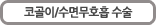 코골이/수면무호흡수술